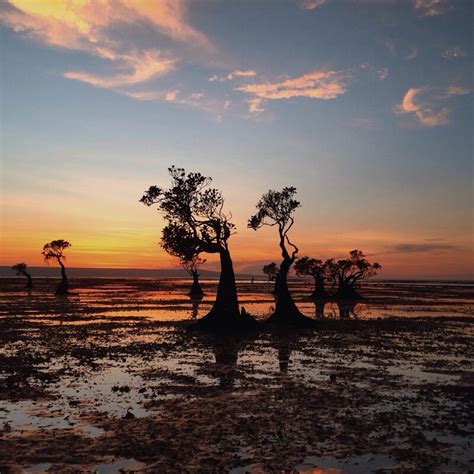 Harga foto prewedding bandung tentunya menyesuaikan dengan tarif lokasi yang diinginkan. Pantai Walakiri, Siluet Indah Pohon Menari Di Sumba Timur