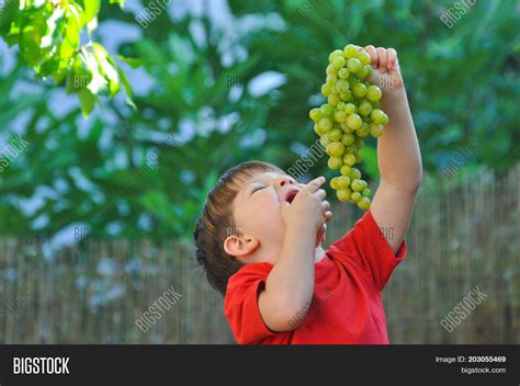 Boy Eating Grapes Image And Photo Free Trial Bigstock