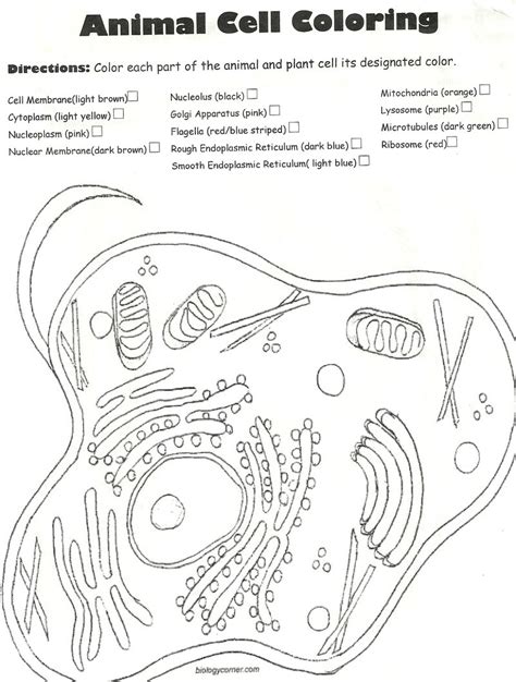 It has been estimated that humans contain. Cell Membrane Drawing Project at GetDrawings | Free download