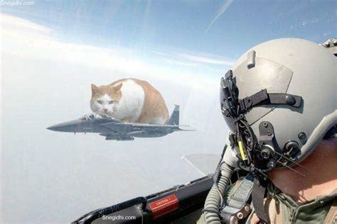 Funny Jet Fighters Pictures Funny Indian Pictures