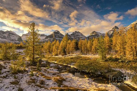Fall Colors In The Canadian Rockies Larch Valley Photograph By Mike