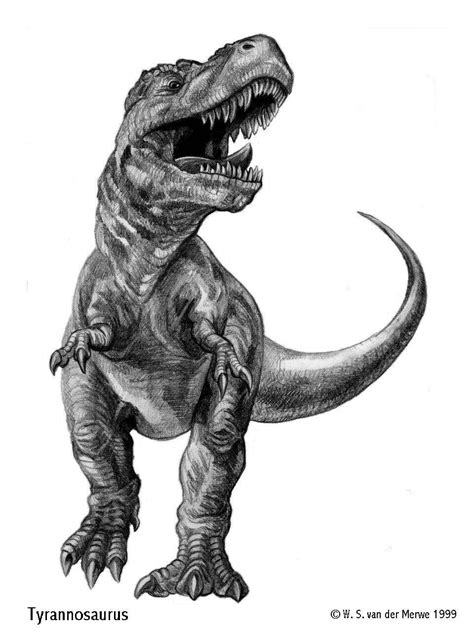 Tyrannosaurus Rex By Willemsvdmerwe On Deviantart Dinosaur Images