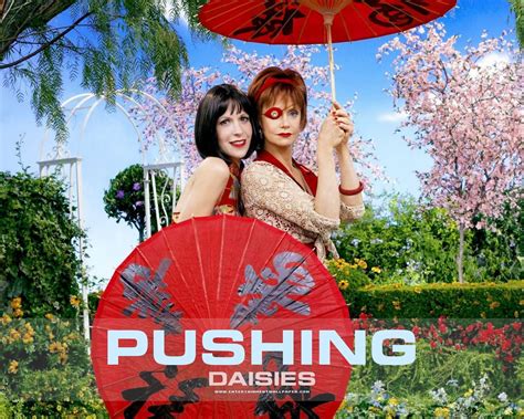 A man learns that he can resurrect people simply by touching them. Pushing Daisies Cast - Pushing Daisies Wallpaper (791486 ...