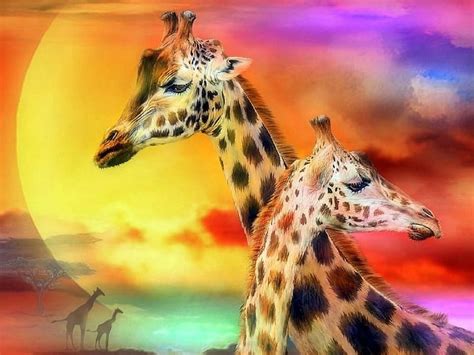 Colorful Giraffe Background