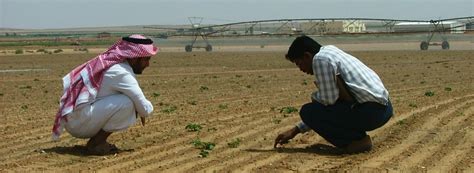 Saudi Arabia Seeds Crops Farming Machinery