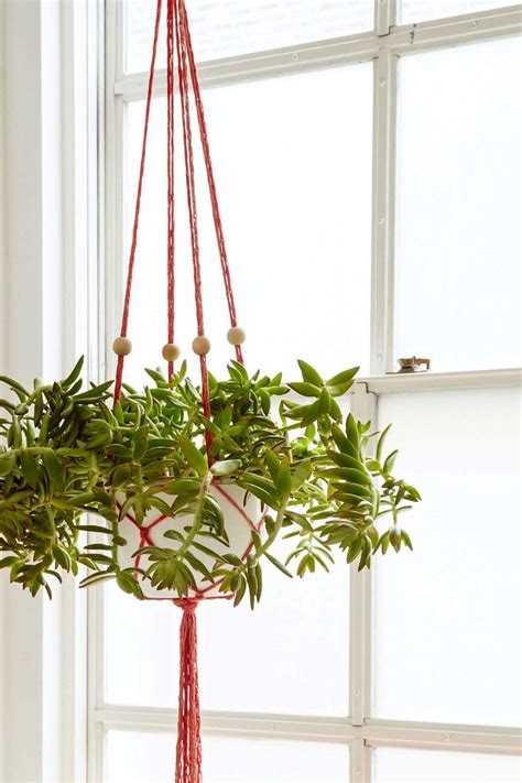 Diy Finger Knit Hanging Plant Holder Hanging Plants Crochet Plant