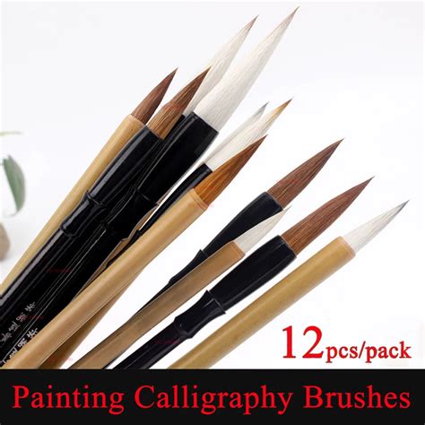 12pcs Paint Brushes Set Variety Hair Chinese Painting Calligraphy