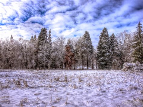 David Marvin Photography - Lansing, Michigan: Winter Wonderland