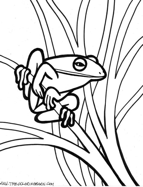 Tree Frog Coloring Page At Free