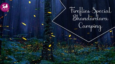 Fireflies Special Bhandardara Camping Tickets By Smit Desai