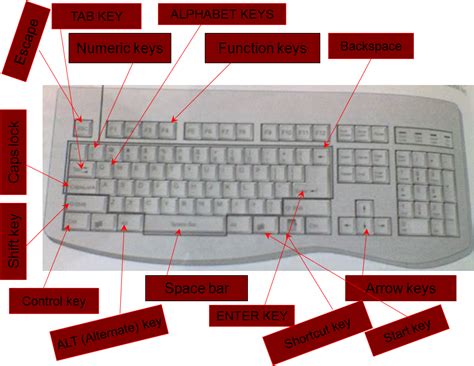 The Education Corner Names Of Different Types Of Keys At Keyboard