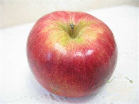 Яблоко красное. Калорийность, польза и вред - ВашВкус Картинка - Яблоко красное. Калорийность, польза и вред - ВашВкус
