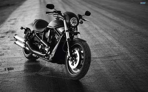 Download Vehicle Harley Davidson Harley Davidson Hd Wallpaper