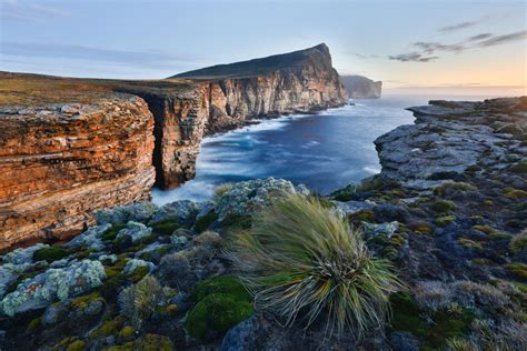 How To Plan A Photography Trip To The Falkland Islands Nature Ttl