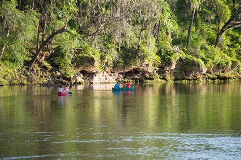 Things to Do in Live Oak, FL