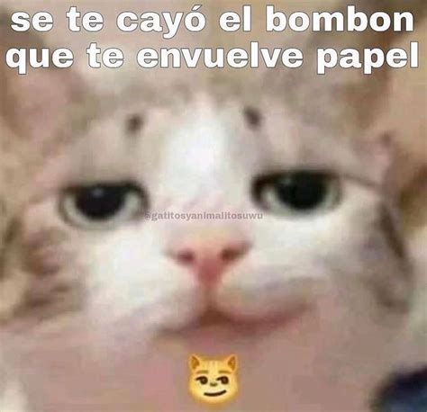 Se Te Cayó El Bombón Que Te Envuelve Papel Memes