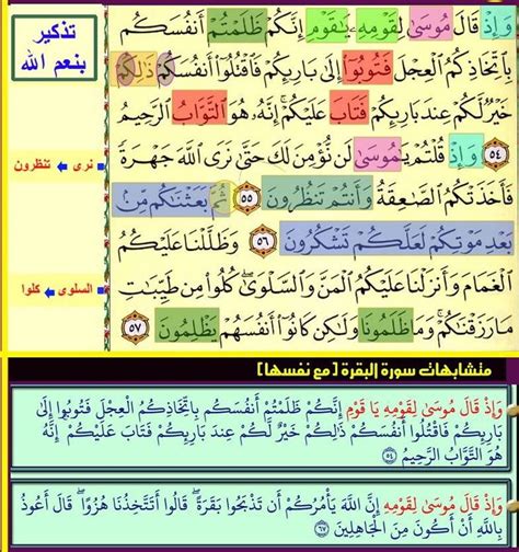 مشروع قرآني شامل بمميزات فريدة. البقرة ٥٤ - ٥٧ | Quran karim, Arabic quotes, Quran