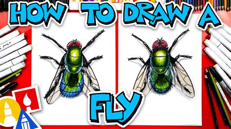 How To Draw A Realistic Fly Art For Kids Hub