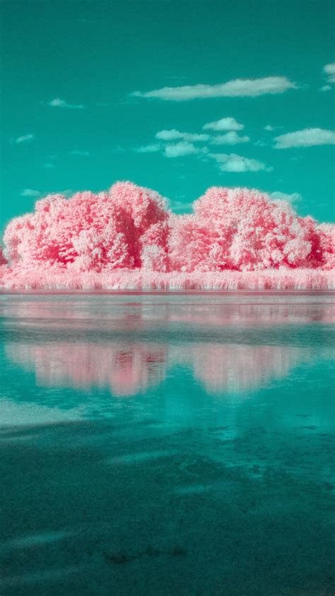 540x960 Photography Infrared 4k 540x960 Resolution Wallpaper Hd Nature