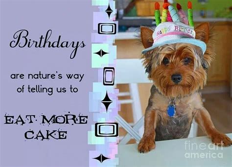 Yorkie Birthday Messages Funny Birthday Cards Birthday Humor