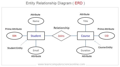 Components Of Entity Relationship Diagram Ermodelexamplecom Images