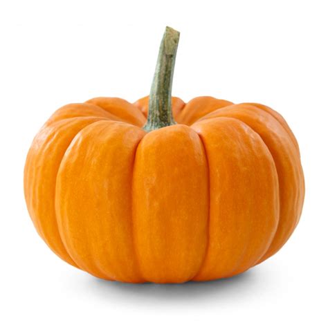 10 Tips For Picking The Perfect Pumpkin For Halloween Haifa Group