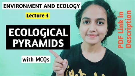 Ecological Pyramids Environment And Ecology Lecture 4 Youtube