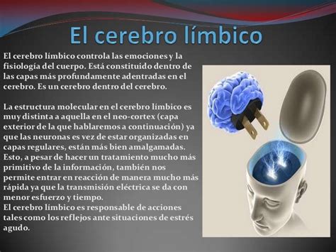 Alejandro Cardini Neurobiología De Las Emociones