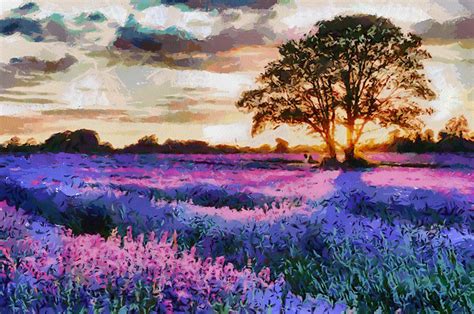 Sunset Lavender Field Painting By Georgi Dimitrov Pixels