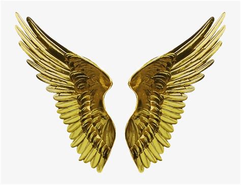 Download Angel Gold Wings Png Cutout Image Angel Wings Heaven