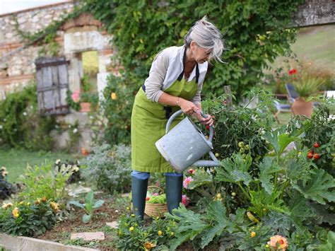 See more of home and garden uk ltd on facebook. Starting a vegetable garden - Saga