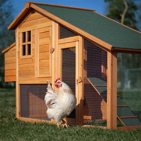 Tomr Complete Pallet Chicken Coop Ideas
