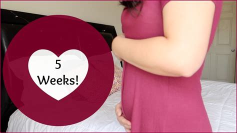 5 Weeks Pregnancy Update Early Pregnancy Symptoms 5 Weeks Belly