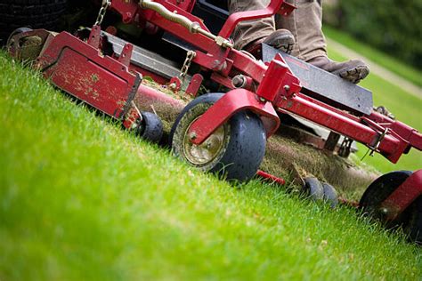 Royalty Free Lawn Mower Pictures Images And Stock Photos Istock