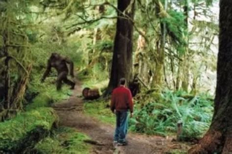 Bigfoot Evidence Biologist Says Bigfoot Fell On My Tent