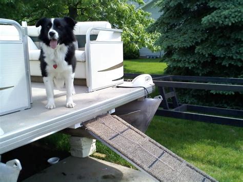 Purchasing a boat boarding ramp isn't truly a necessity as it's something you can do without, but top 4 best boat boarding ramps. how to make a dog ramp | boating stuff | Pinterest | Dog ...