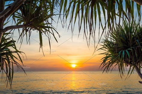 Sunset At Tropical Beach With Palms Sunset Landscape Features Landscape