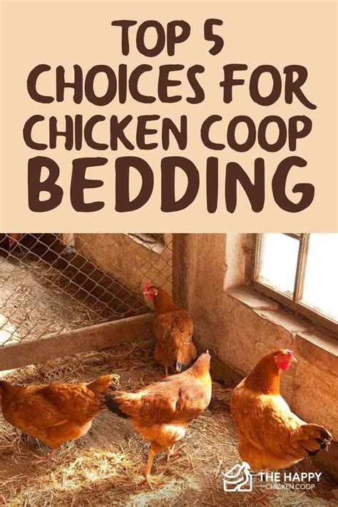 the best chicken coop bedding options for happy hens