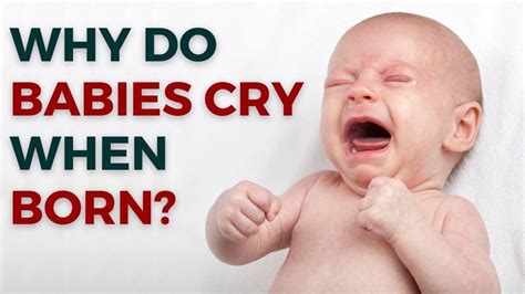 Why Do Babies Cry When Born 5 Main Reasons YouTube