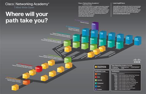 What Is The Best Cisco Career Path