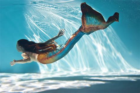 Ambre Mermaid Performer Mermaid Photography Mermaid Swimming Real