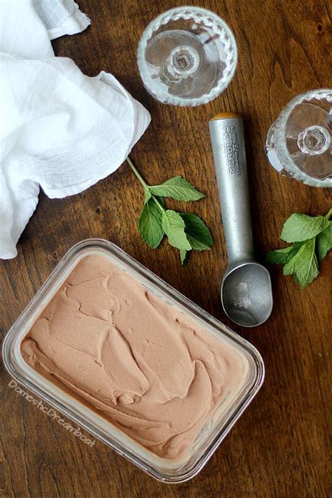 Dairy Free Chocolate Coconut Ice Cream Vegan Gluten Free