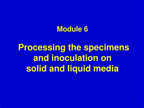 Thus, inoculation directly from an agar plate resulted in more aggregation in liquid cultures than did inoculation from a liquid lb overnight culture. PPT - Module 6 Processing the specimens and inoculation on ...