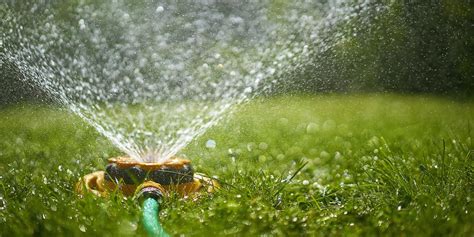 So whether you have planted seed or laid sod, lawn irrigation must be done properly for best results. Best Time to Water Grass - Lawn Watering Tips
