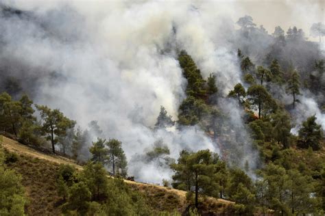 Firefighters Killed Tackling Huge Cyprus Forest Blaze Times Of Oman
