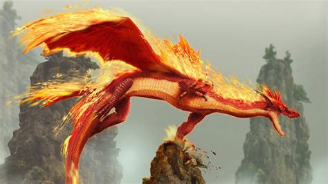 Top 999 Fire Dragon Wallpaper Full Hd 4k Free To Use