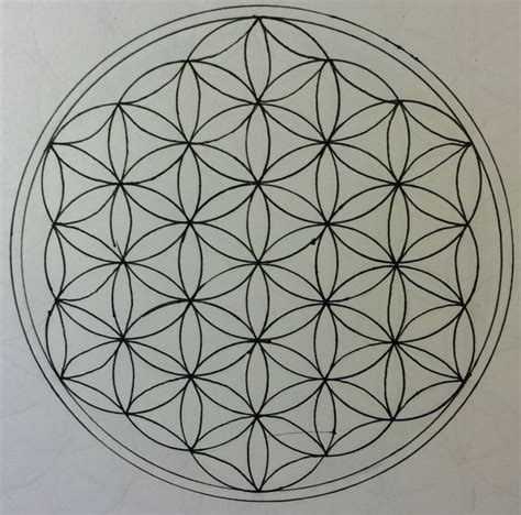 How To Draw The Flower Of Life Flower Drawing Flower Drawing