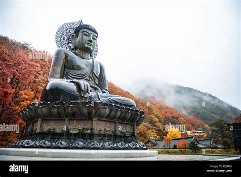 Big Buddha Monument Of Sinheungsa Temple In Seoraksan National Park