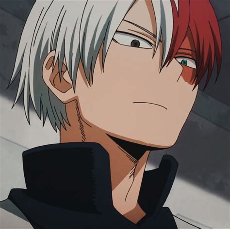 Todoroki Shoto Icons In 2021 My Hero Academia Hero Academia