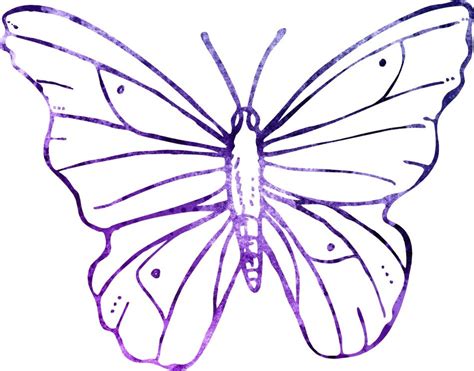 Cute Purple Butterfly Drawing Free Image Download